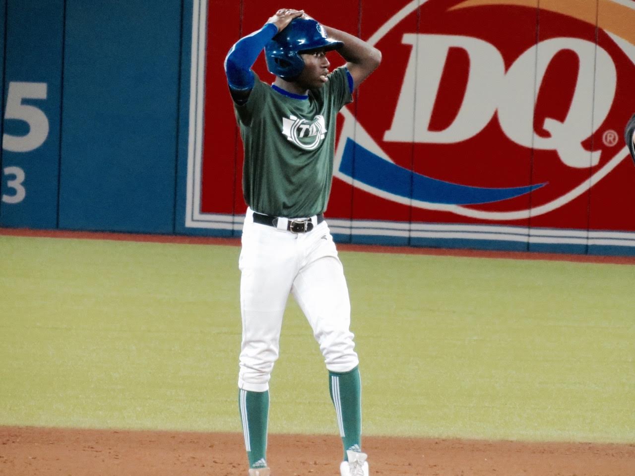 Ontario Blue Jays Dasan Brown