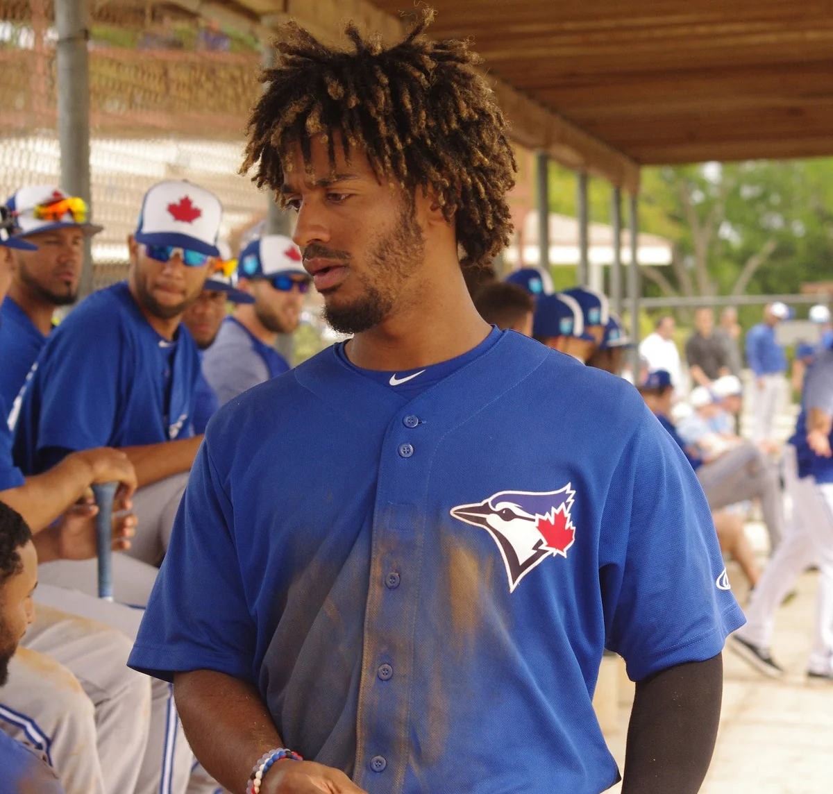 Jay Blue: Adams, Berti, Bichette, Castillo, Danner, Conine, Grudzielanek, Sweeney