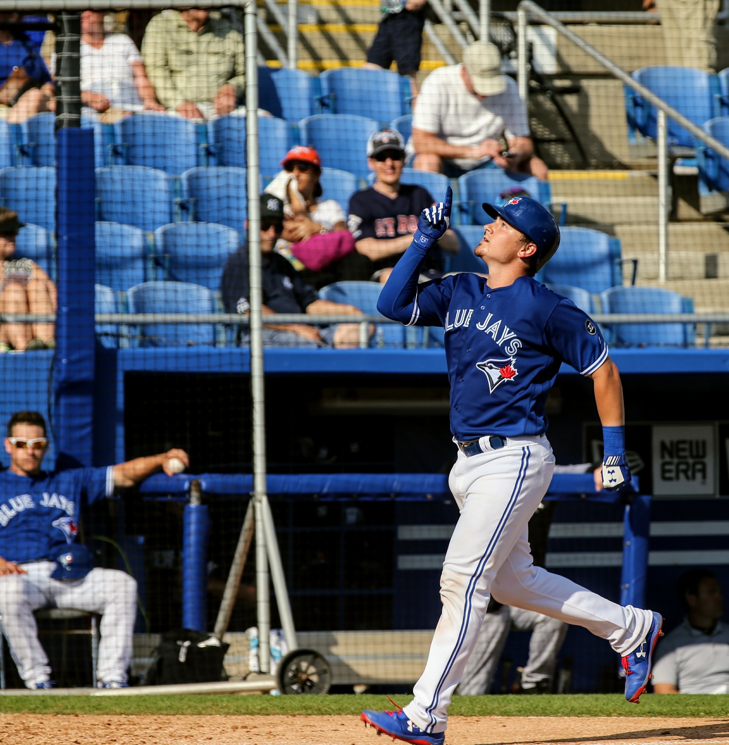 Blue Jays call up McGuire, Shafer