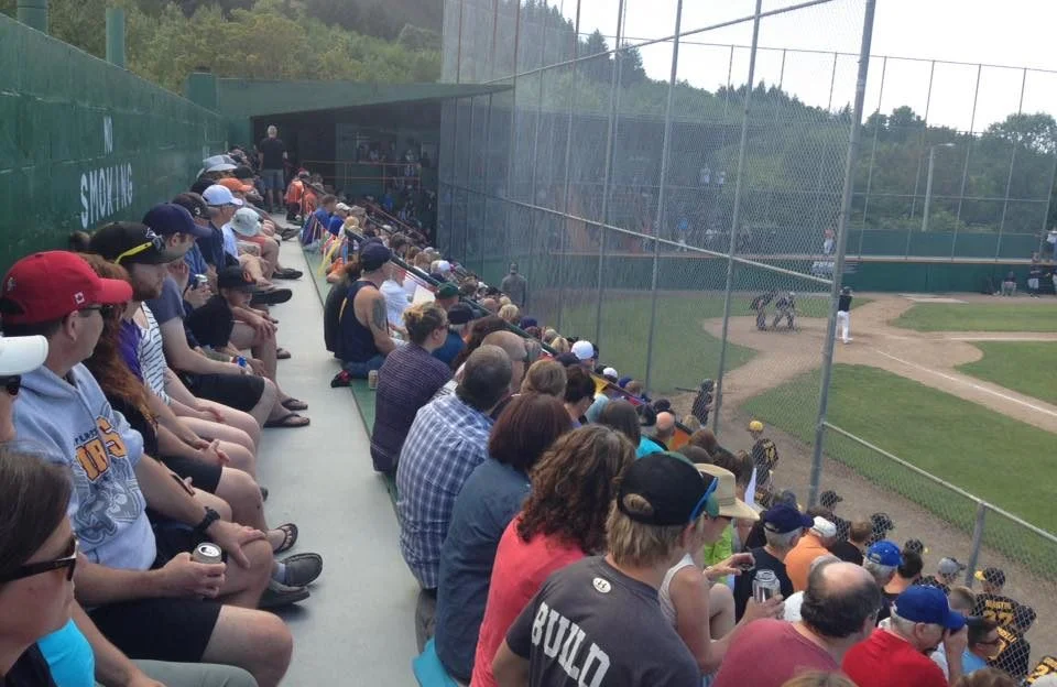 HarbourCats ownership group considers adding WCL team in Nanaimo