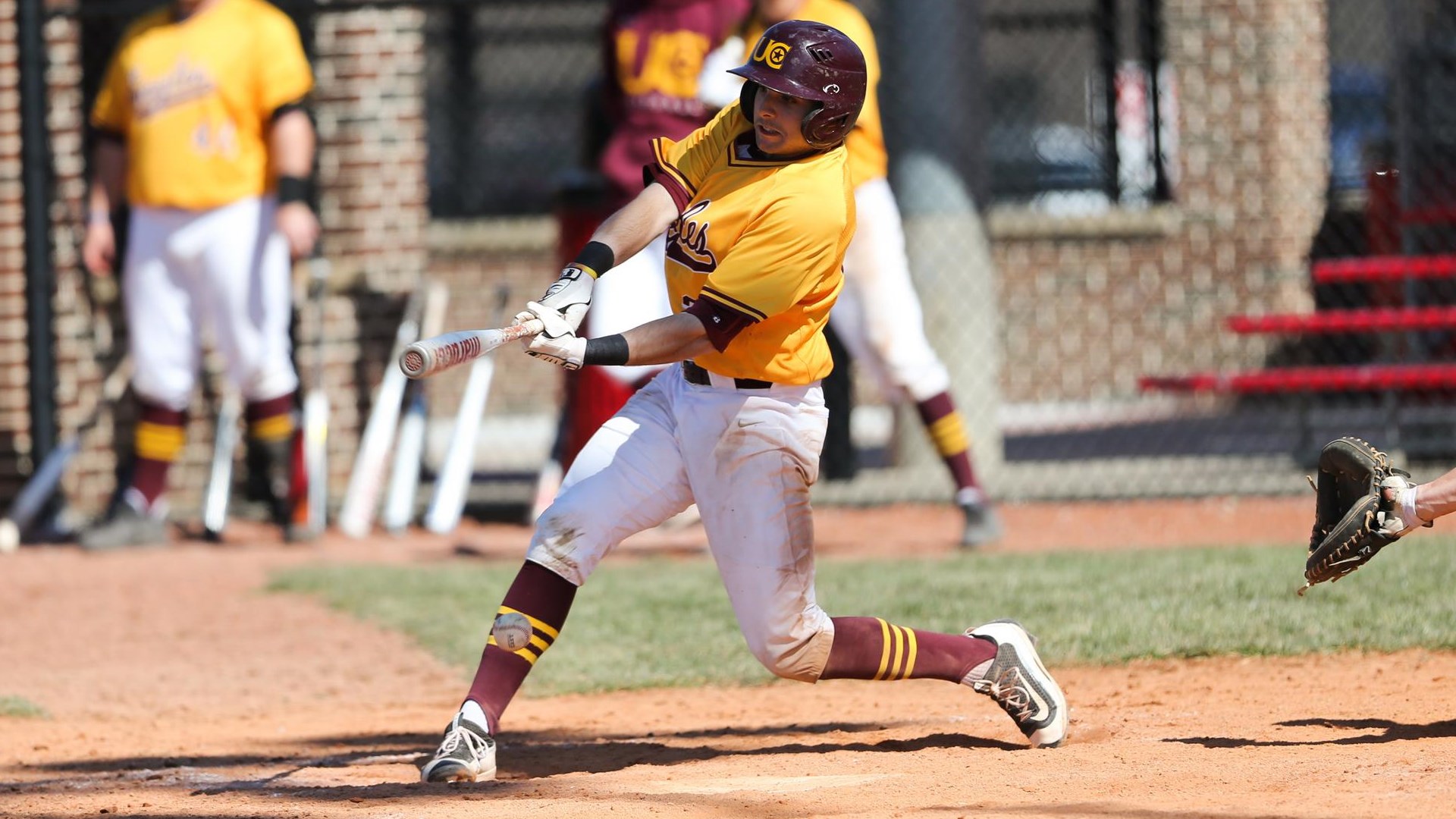 Toronto Mets alum Gianfranco Morello (Toronto, Ont.) went 4-for-12 (.333 batting average) for the Charleston Golden Eagles. Photo: University of Charleston Athletics