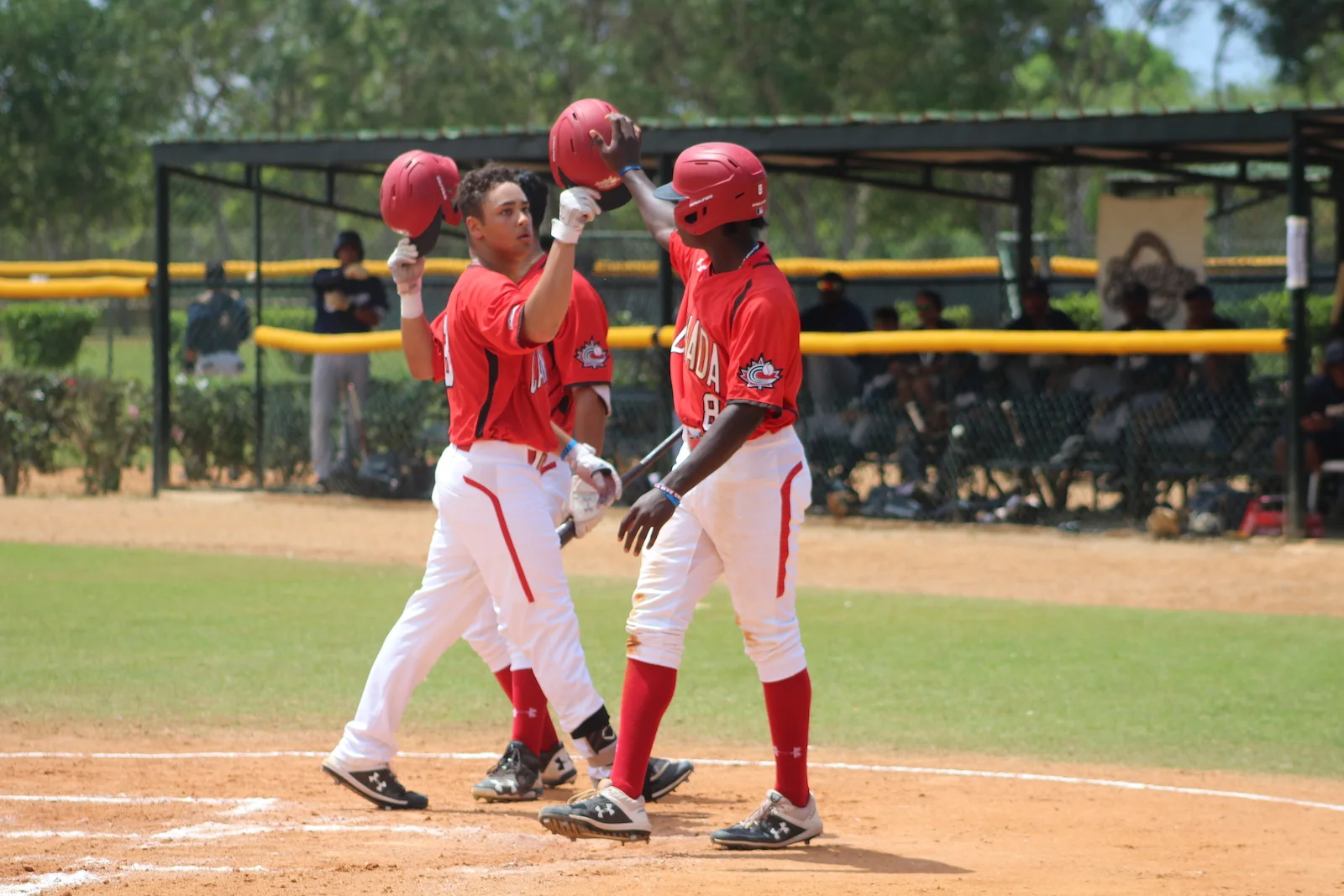 DSL Tour: Schofield-Sam’s blast leads juniors over Brewers