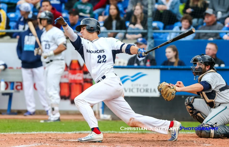 Local infielder Jason Willow returning to Victoria HarbourCats