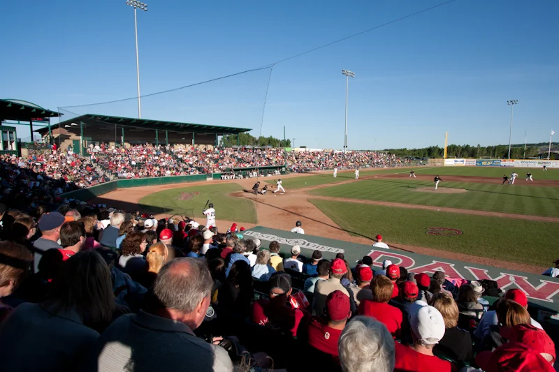 Dawgs rank third in North American summer baseball attendance