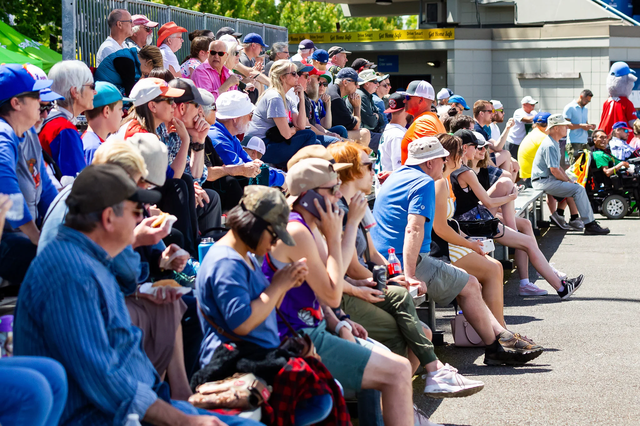 HarbourCats league leaders in attendance for the sixth year in a row