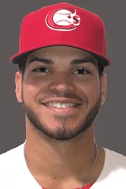 Jays' prospect Luis Quinones suspended 80 Games for PEDs