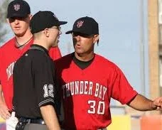 Steed is a cool Border Cat again