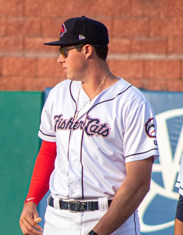 Jay Blue: 2019 Blue Jays from Away Awards - New Hampshire Fisher Cats