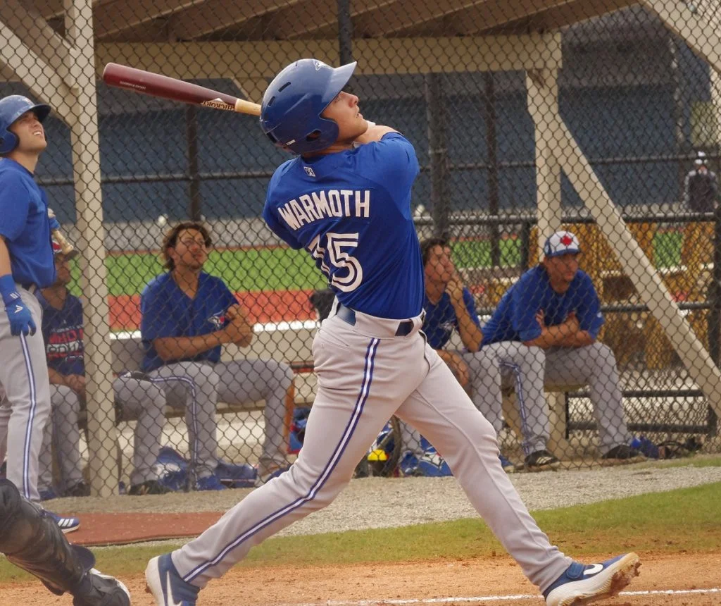 Jay Blue: Toronto Blue Jays 2019/20 Fall/Winter Ball Report