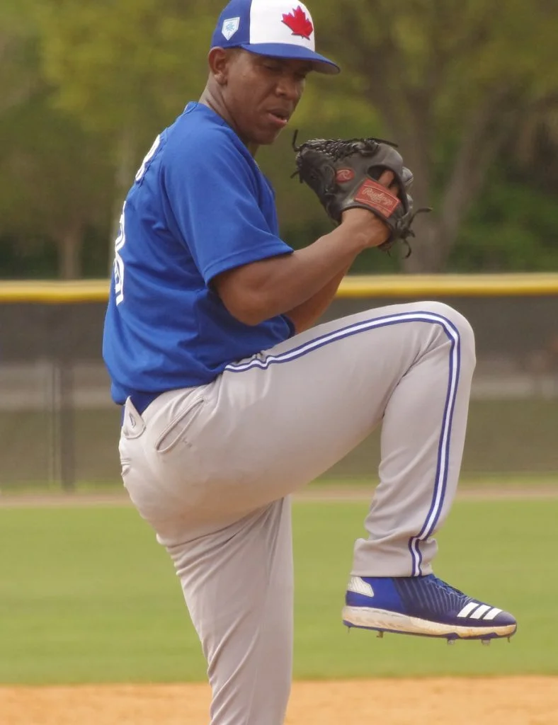 Blue Jays release minor league players