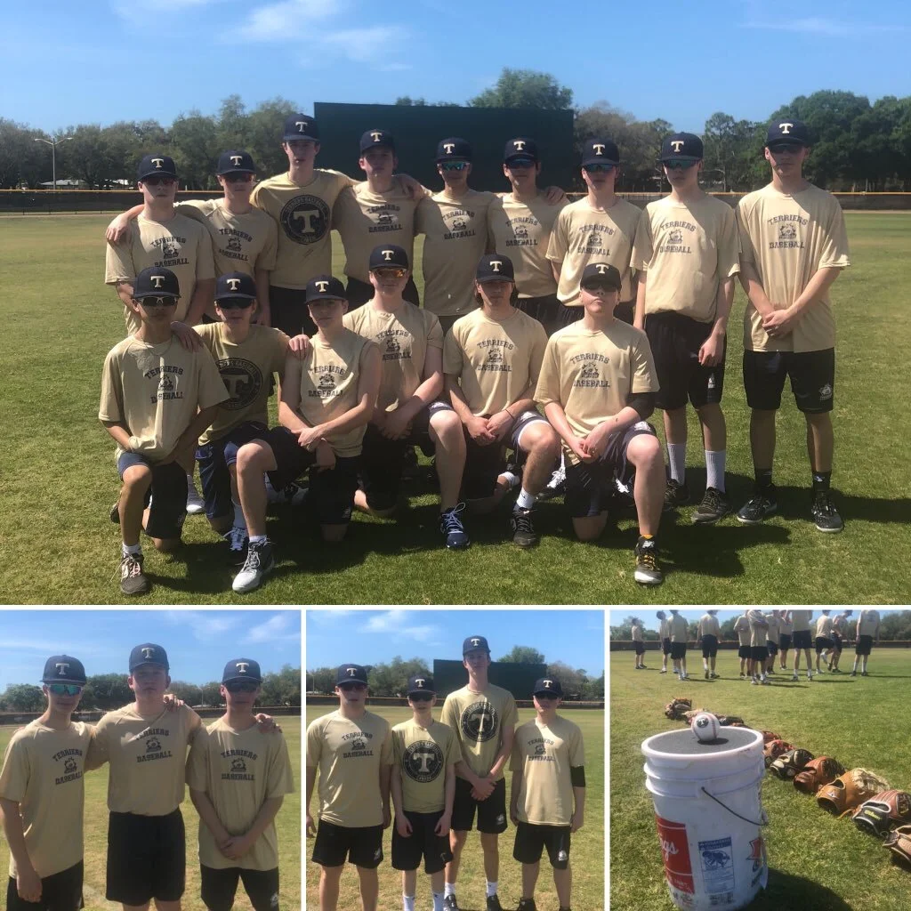 Terriers' teams split four games in spring action