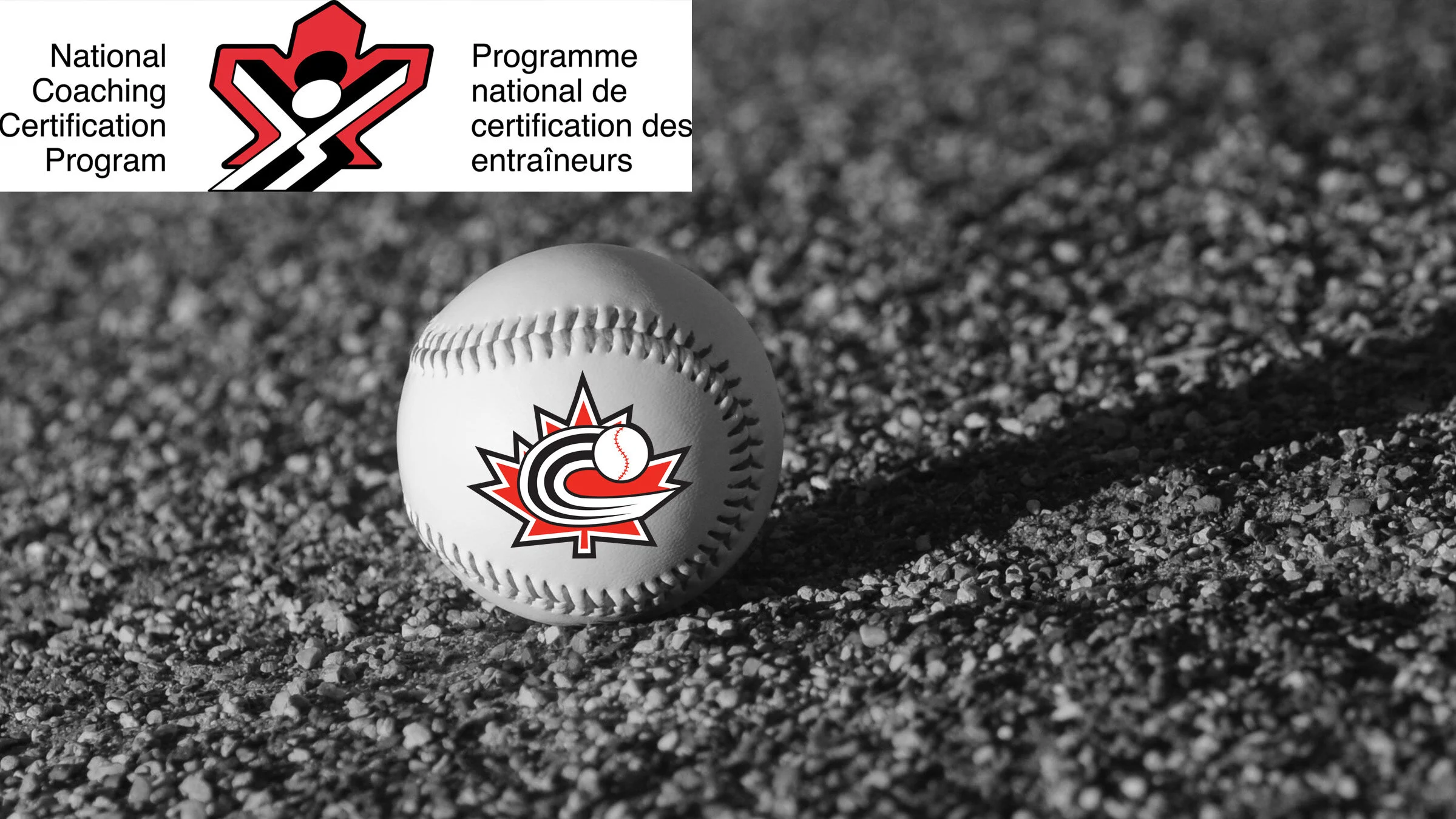 Baseball Canada moves to deliver NCCP courses online