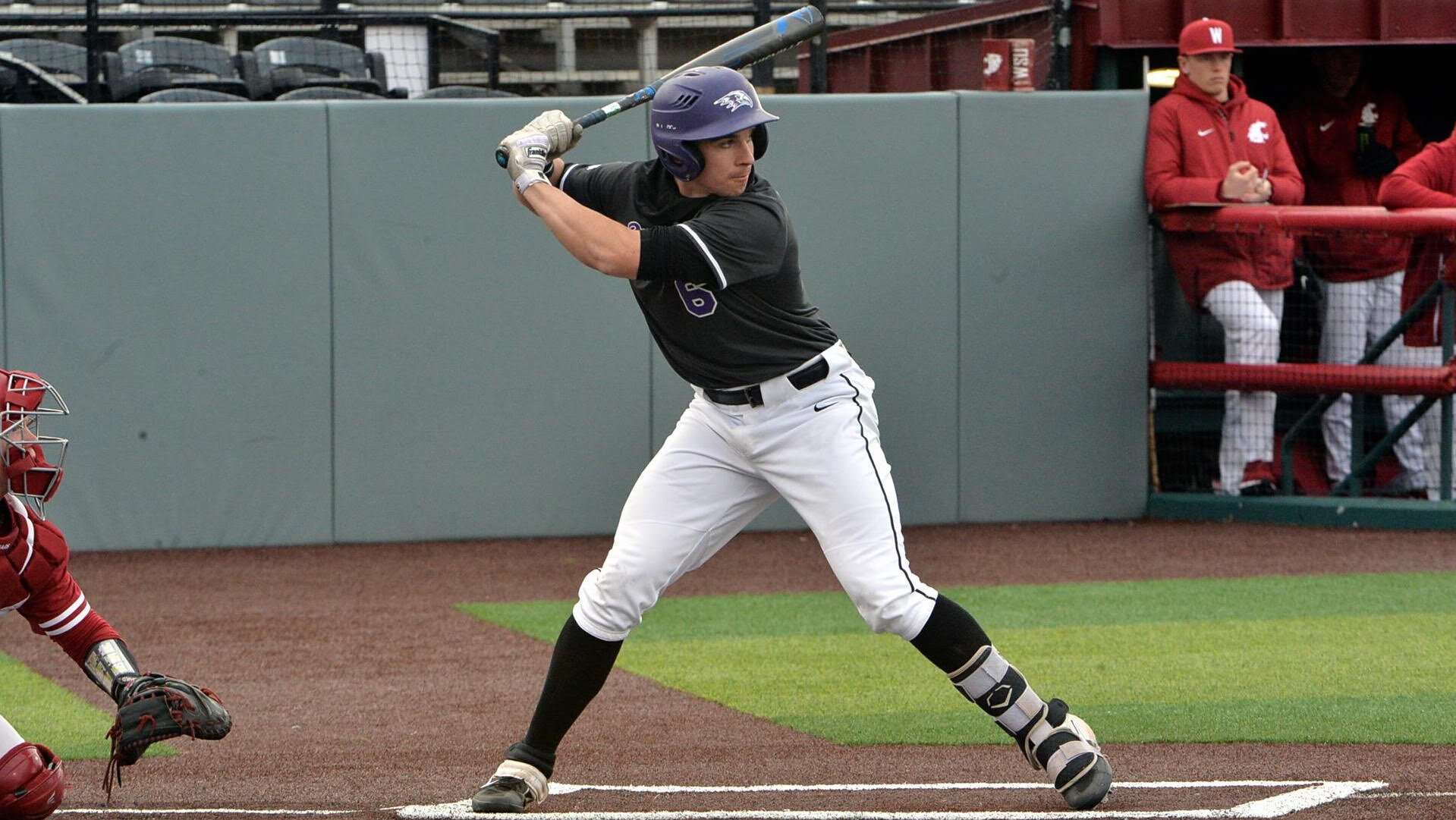 Newfoundland's Tucker one serious hitter