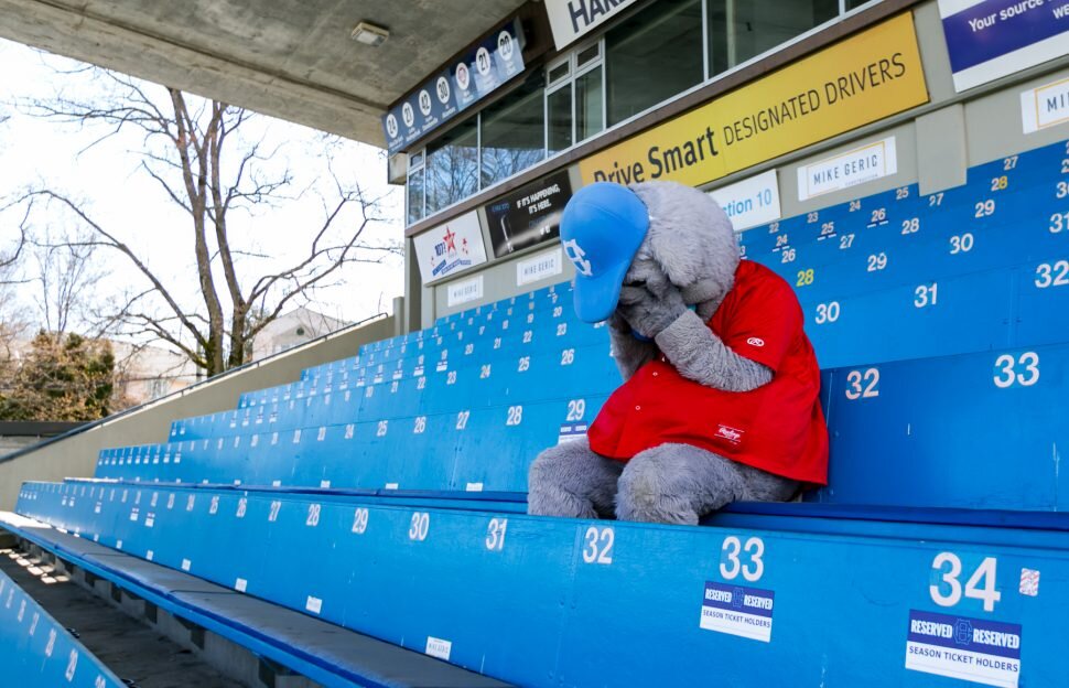 Victoria HarbourCats forced to cancel season