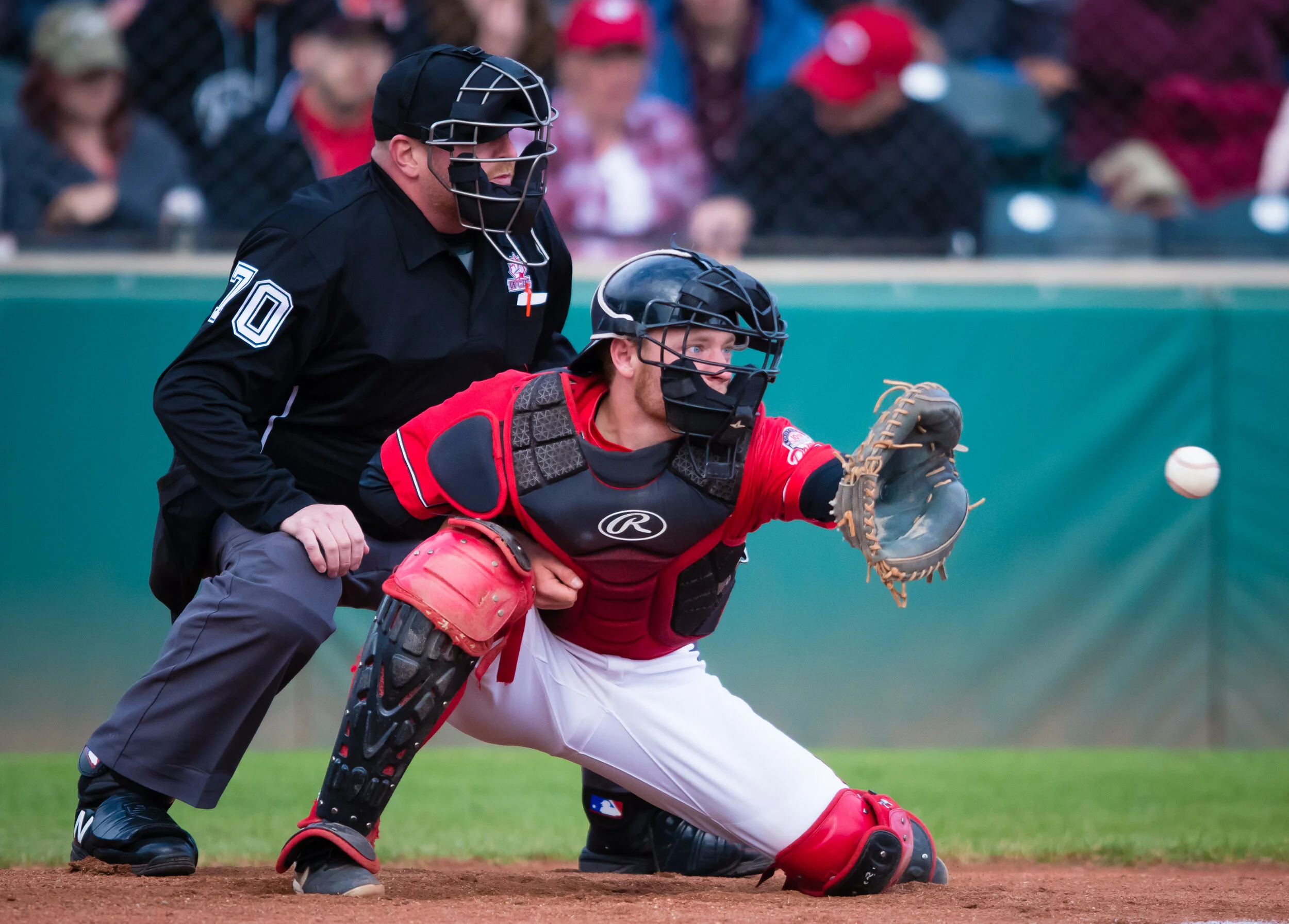 Outside the Lines with Dawgs' Gavin Logan