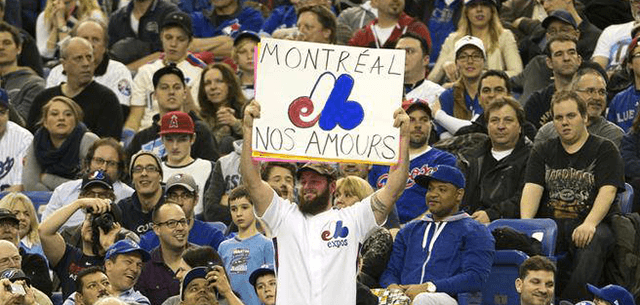 Expos attract fans  from around world