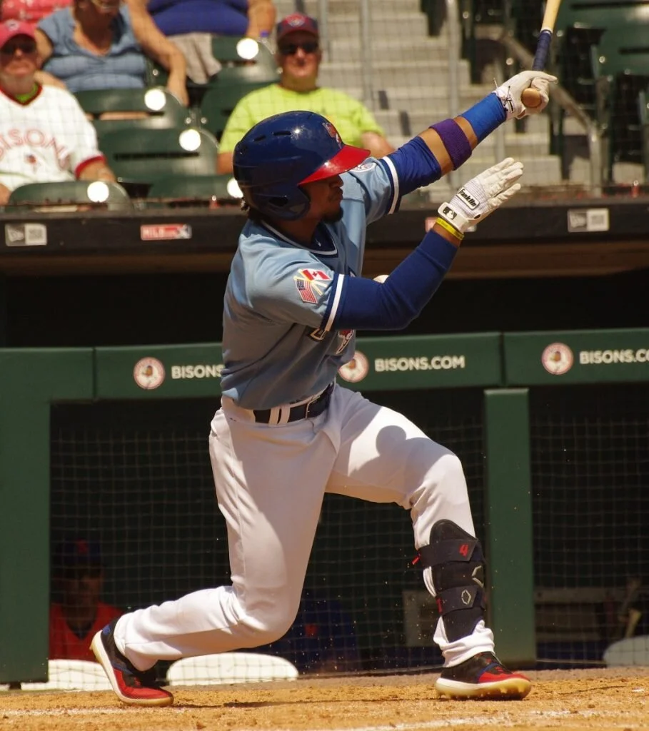 Jay Blue: 2020 Blue Jays Reflections - Santiago Espinal