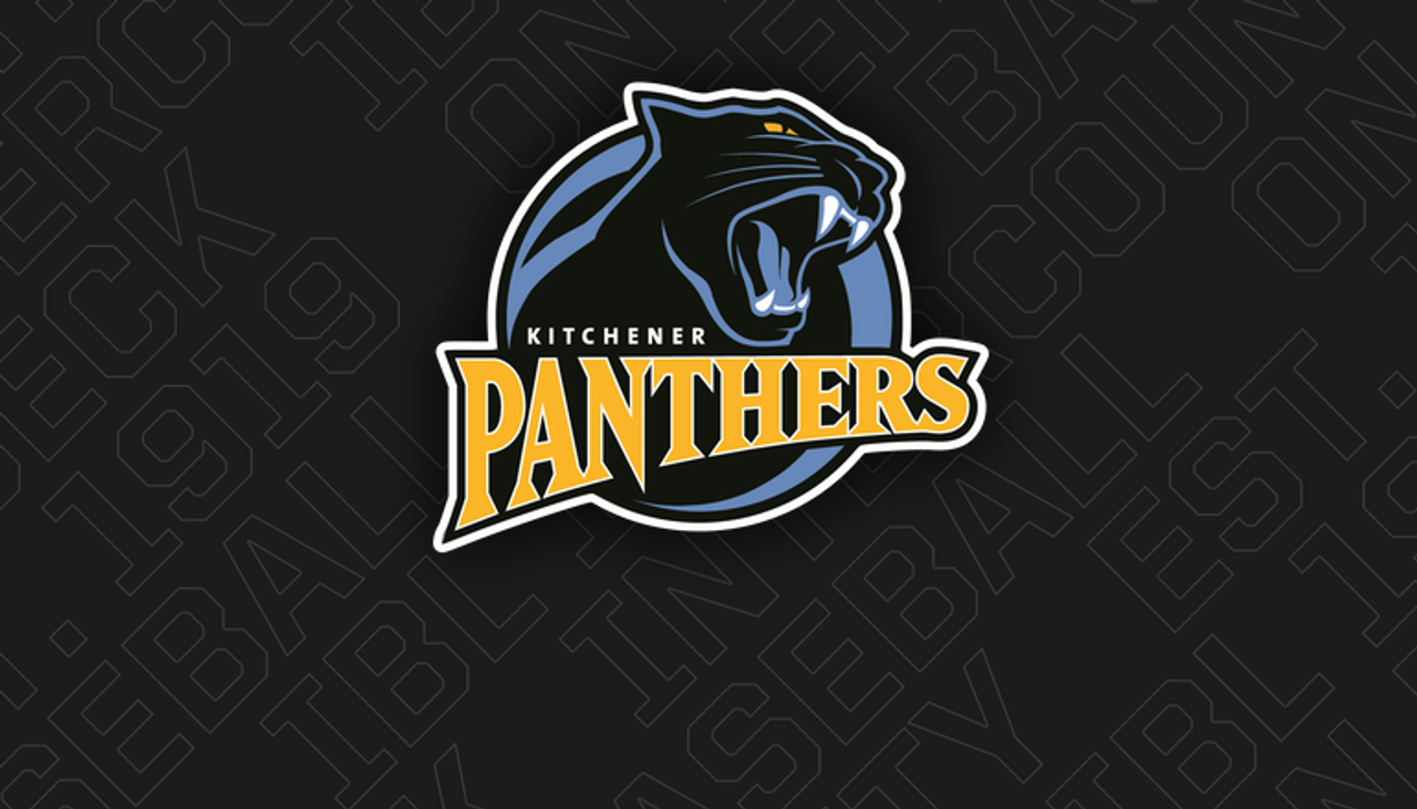 IBL's Panthers name Menard field boss