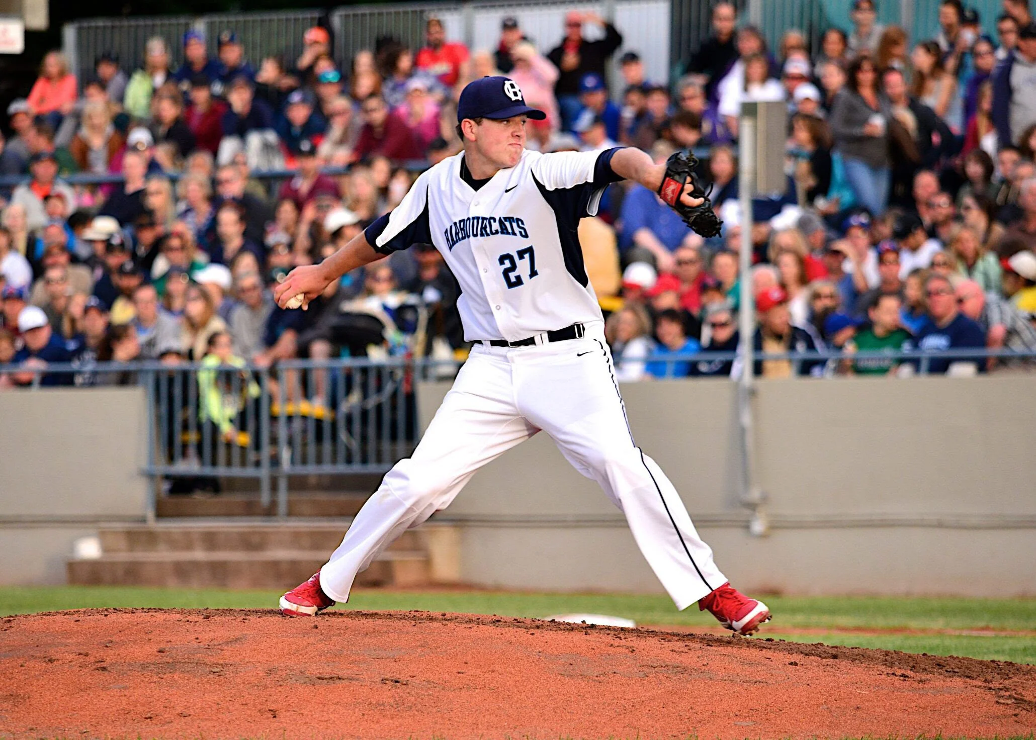 Seven ex-HarbourCats in MLB camps