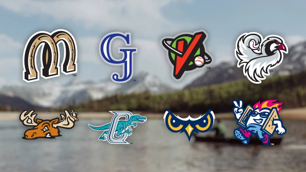 Pioneer League designated partner league of MLB