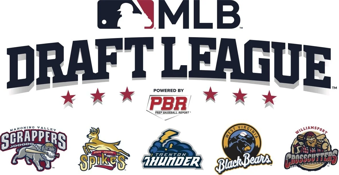 MLB to launch new MLB Draft League