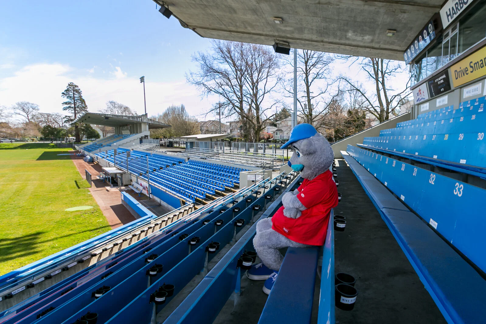 Victoria HarbourCats, Nanaimo NightOwls cancel 2021 seasons