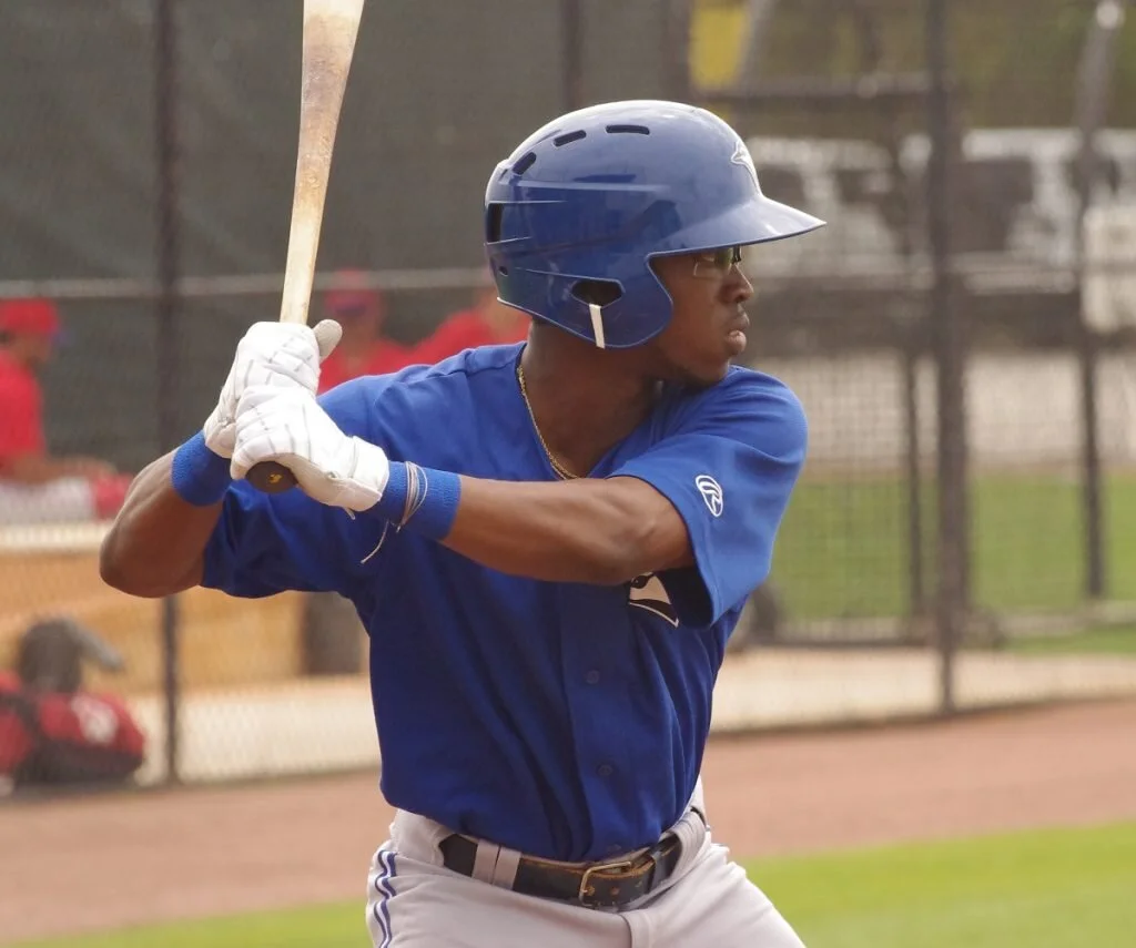 Jay Blue: Blue Jays minor league round-up - June 5