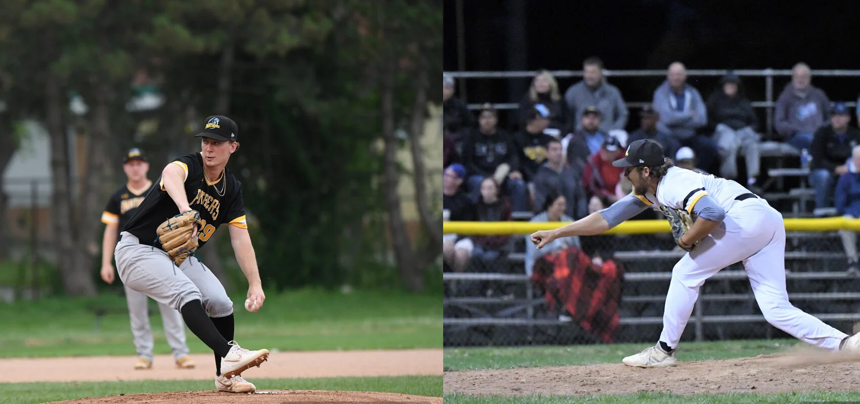 IBL's Kitchener Panthers re-sign Robertson, Bruinsma