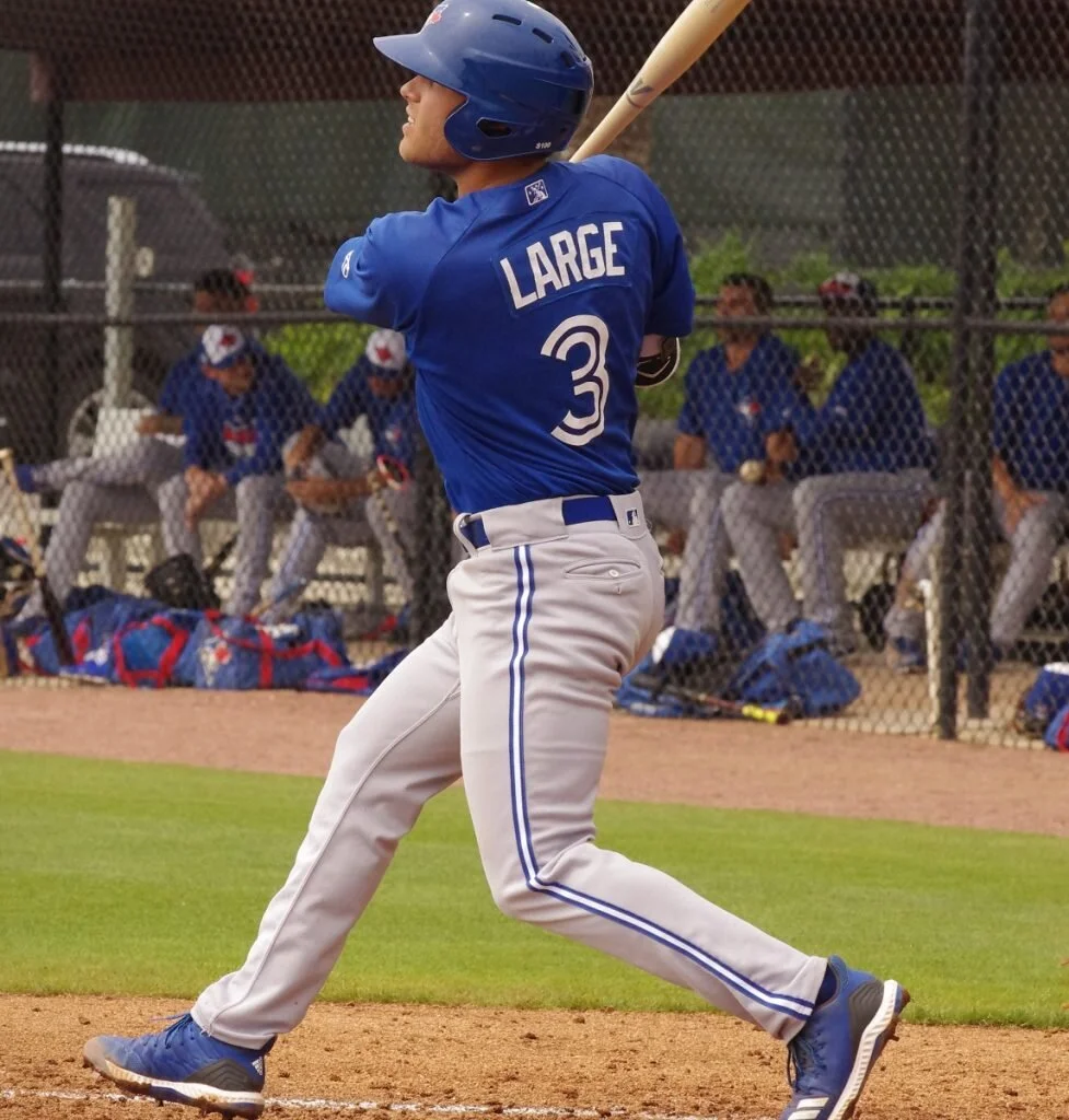 Jay Blue: Blue Jays minor league round-up - June 24