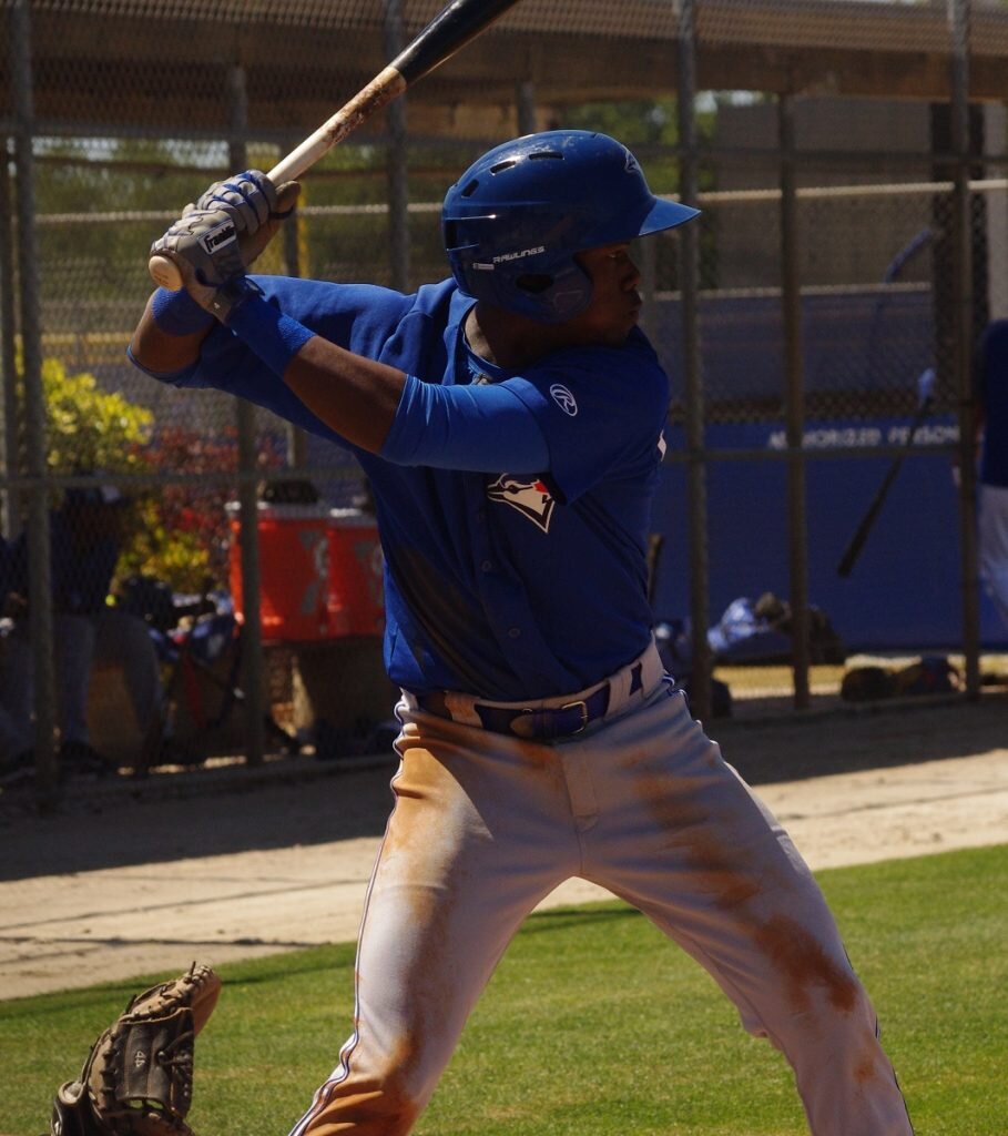 Jay Blue: Blue Jays minor league round-up - July 9