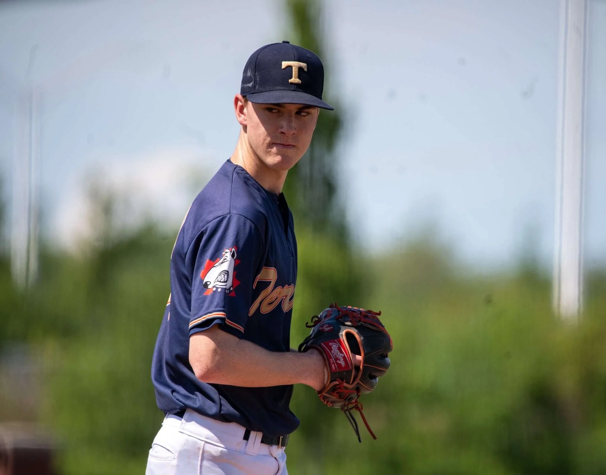Terriers' teams go undefeated on weekend