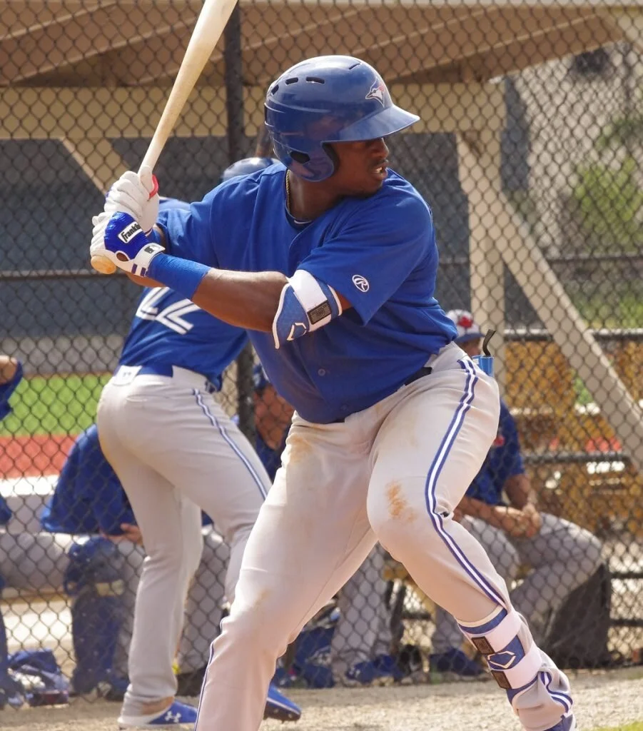 Jay Blue: Blue Jays minor league round-up - August 8