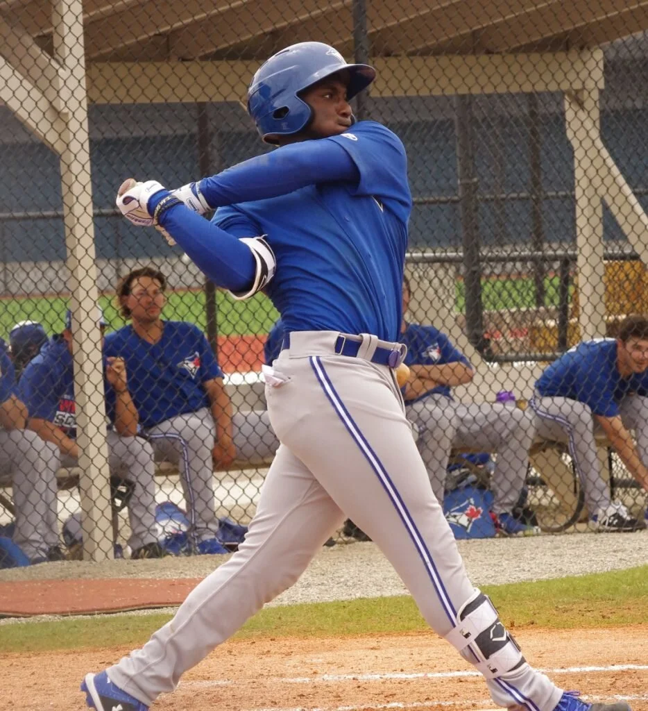 Jay Blue: Blue Jays minor league round-up - August 17