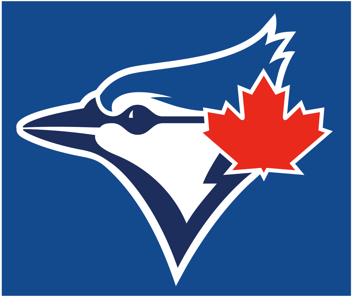 Jay Blue - DSL Blue Jays 2021 Report: Relief Pitchers