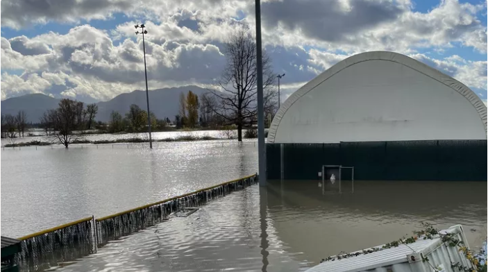 Abbotsford Cardinals rebuilding with support from baseball community