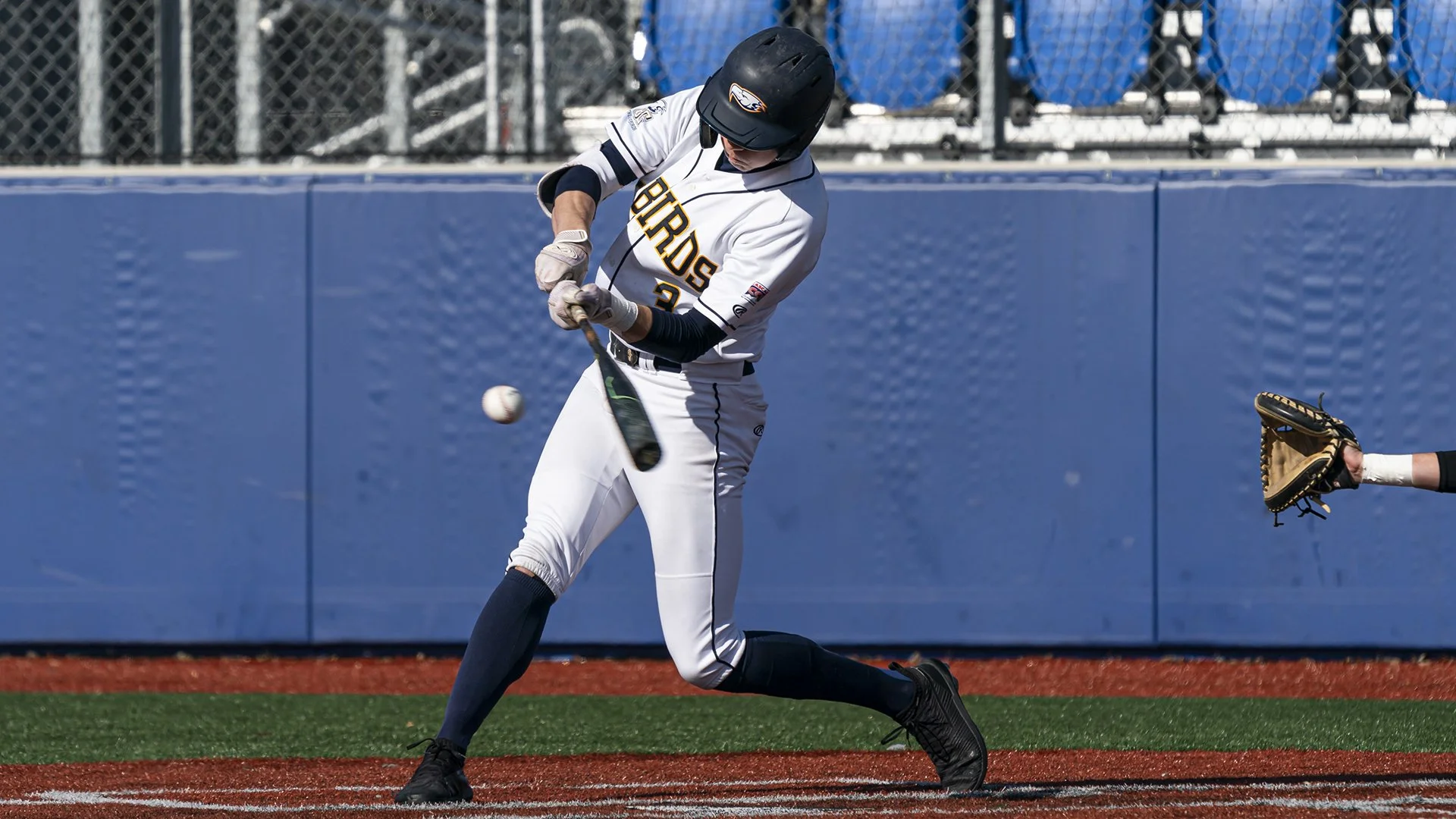 BMOC Week III: Achen, Brown, Gallagher, Goodall, Hogg, Howard