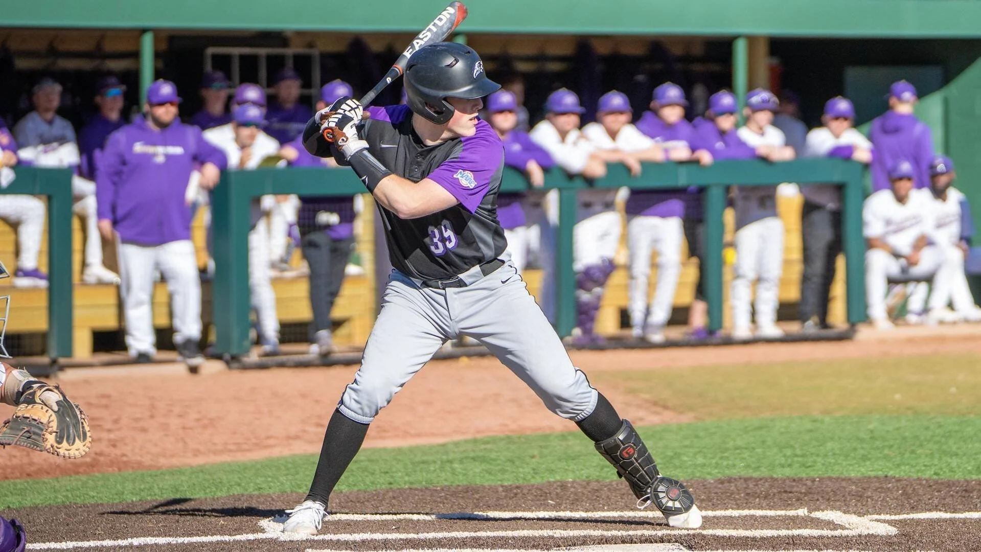 Terriers' grads Earle, Ellis, Johnson, O'Halloran, Ward shine in U.S. college ranks