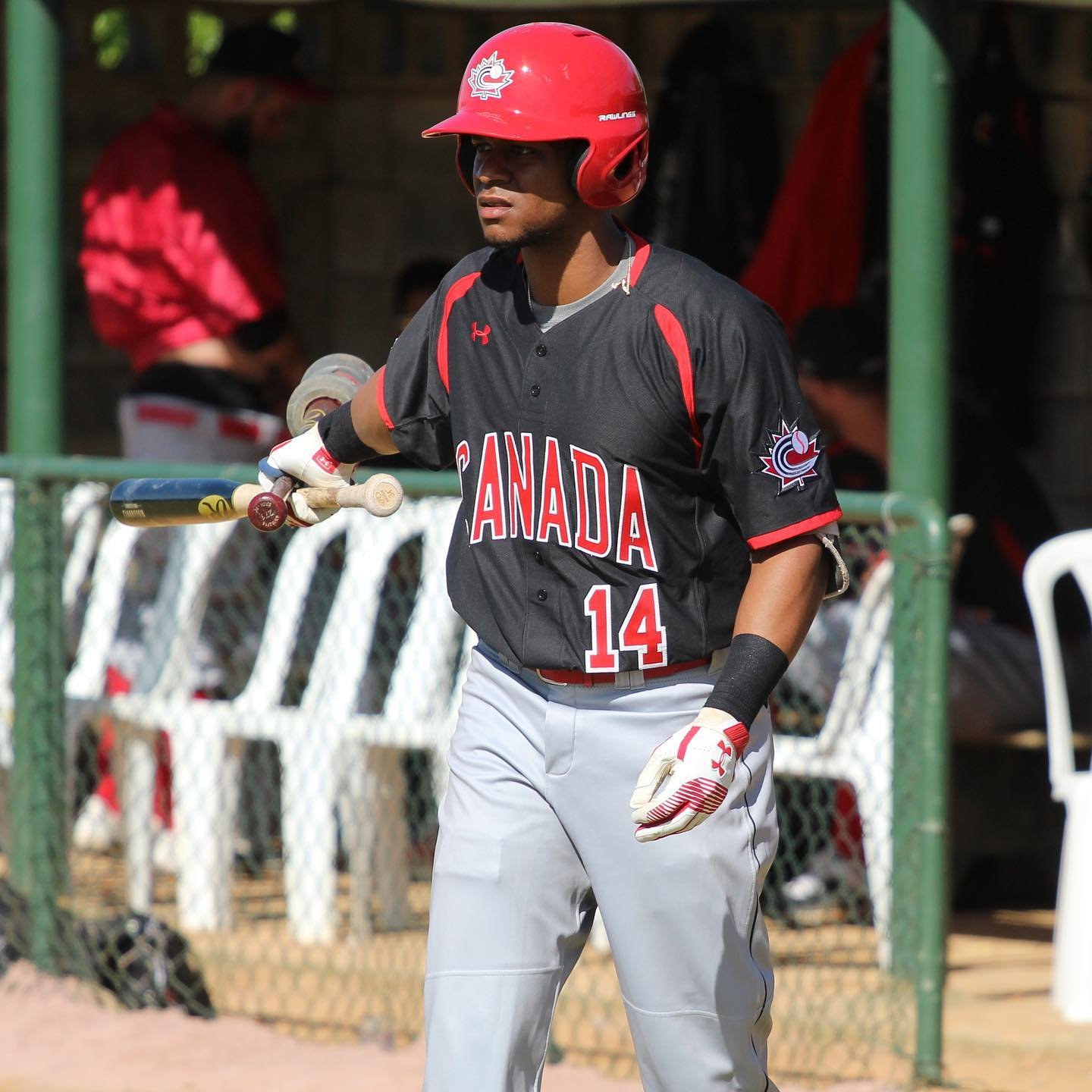 Hatch, Kay, Lopez among players Blue Jays option to minor league camp