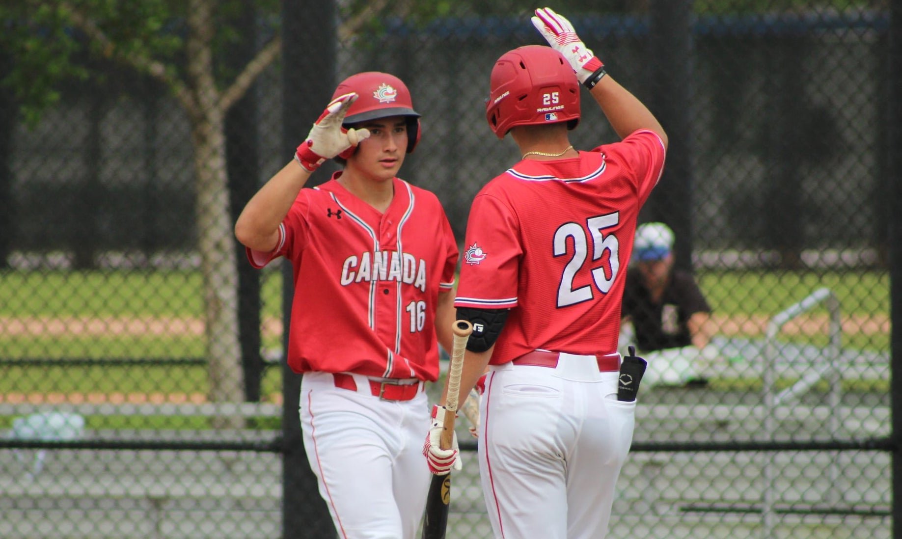 Baseball Canada announces JNT Dominican MLB Academy Tour invitees 