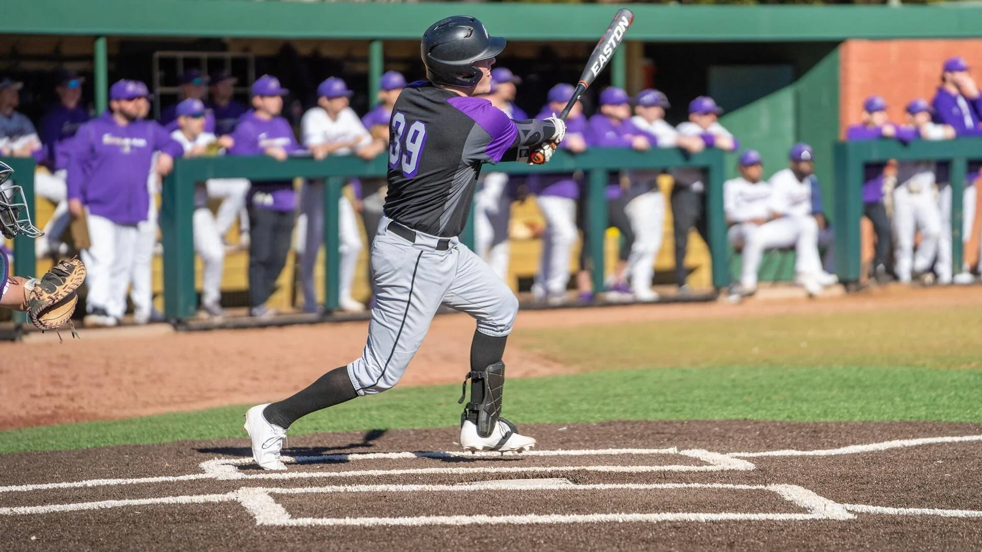 Ex-Terriers Ellis, Ward, Worthen shine in U.S college ranks