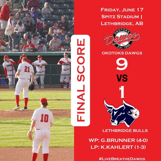 Brunner leads Dawgs to win over Bulls