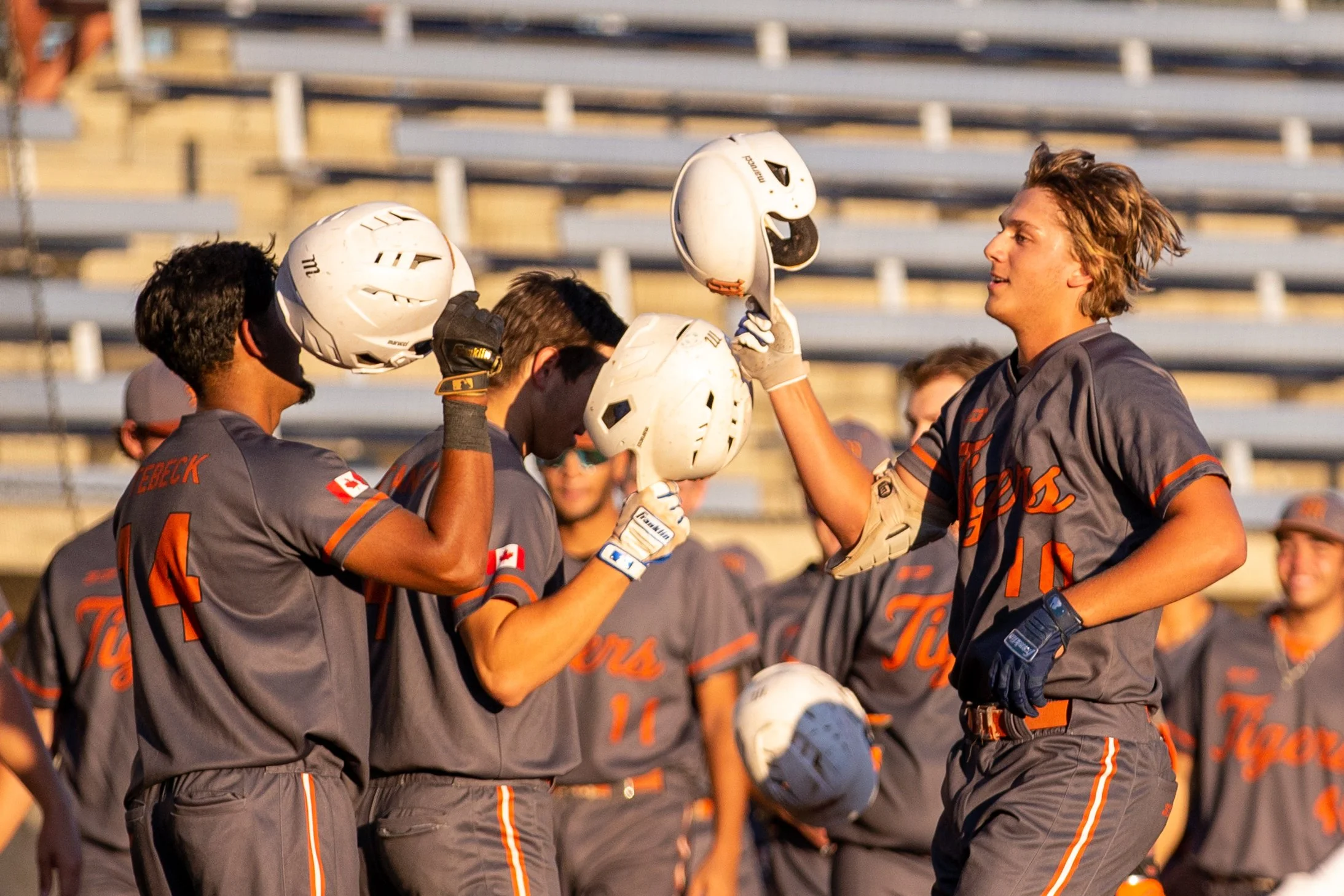 Parkland and Mississauga capture Baseball Canada Championships