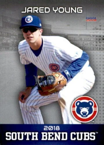 Cubs call up Jared Young