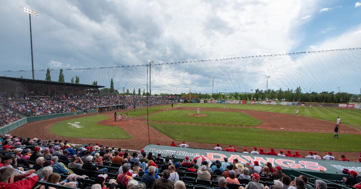 Constantly improving Seaman Stadium, Okotoks Dawgs had a 2022 to remember