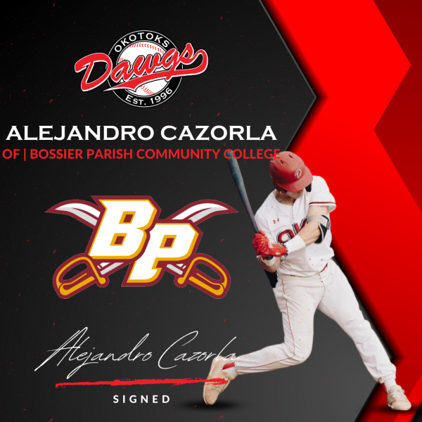 Dawgs re-sign Cazorla, Rose, Sanchez