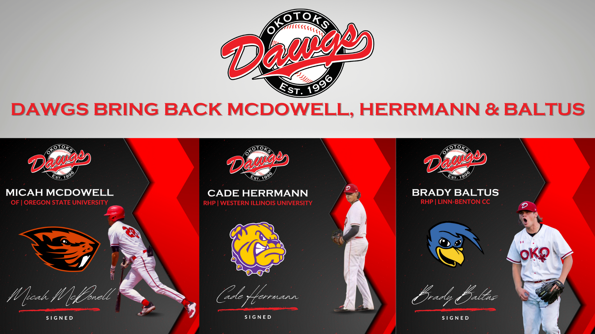 Dawgs re-sign Baltus, Herrmann, McDowell
