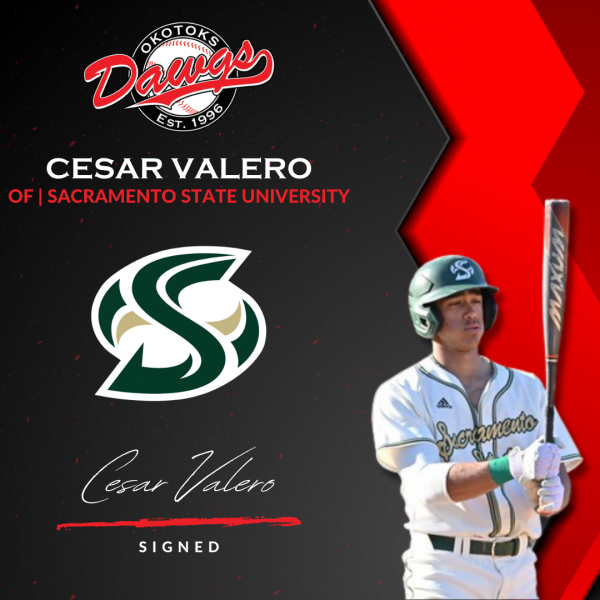 Dawgs sign Cooney, Fraser, Valero