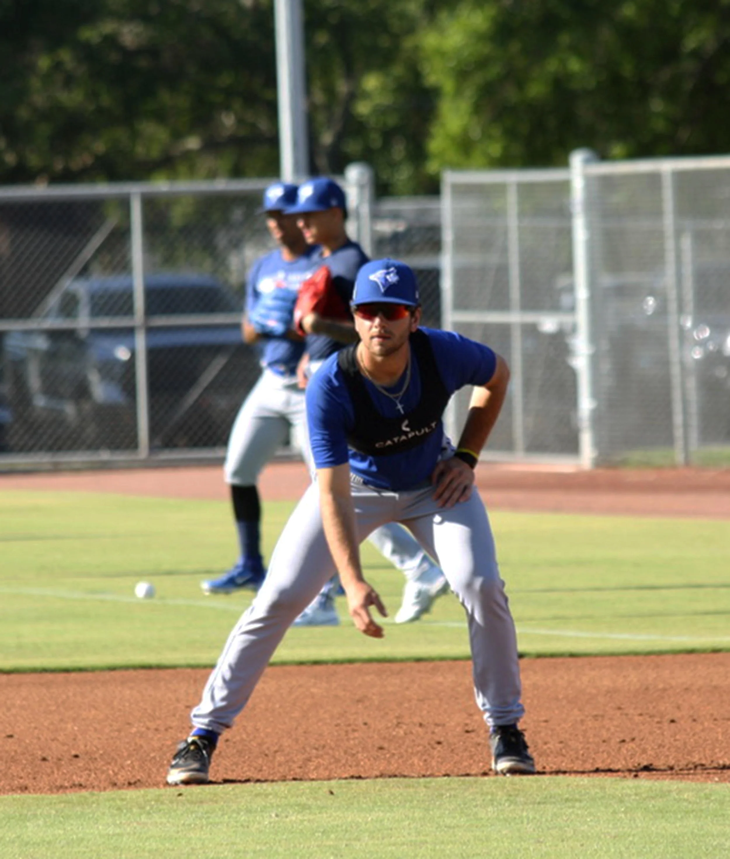 Turconi brings his Steel City background to Jays' camp in Dunedin