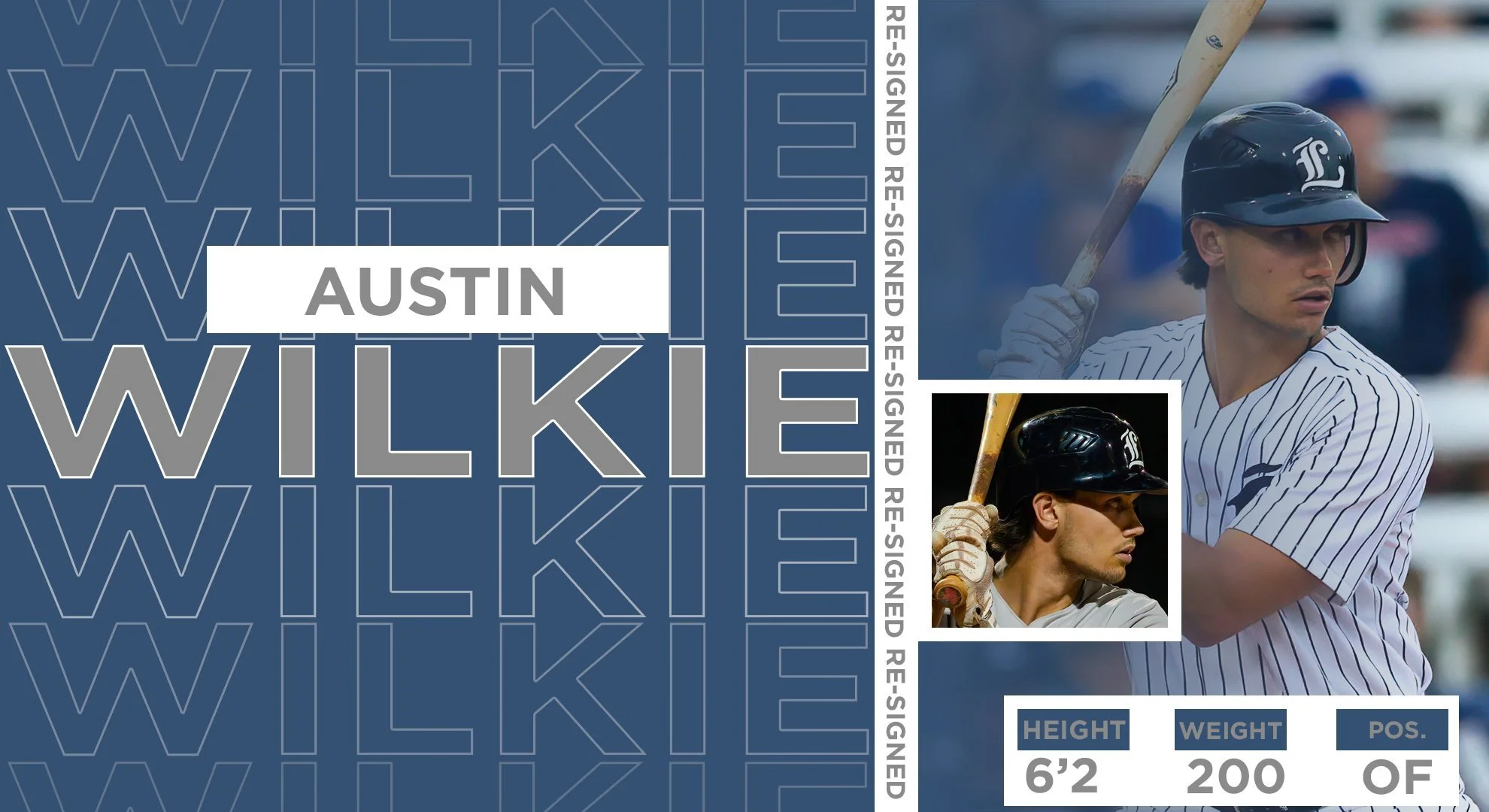 IBL's London Majors re-sign Wilkie