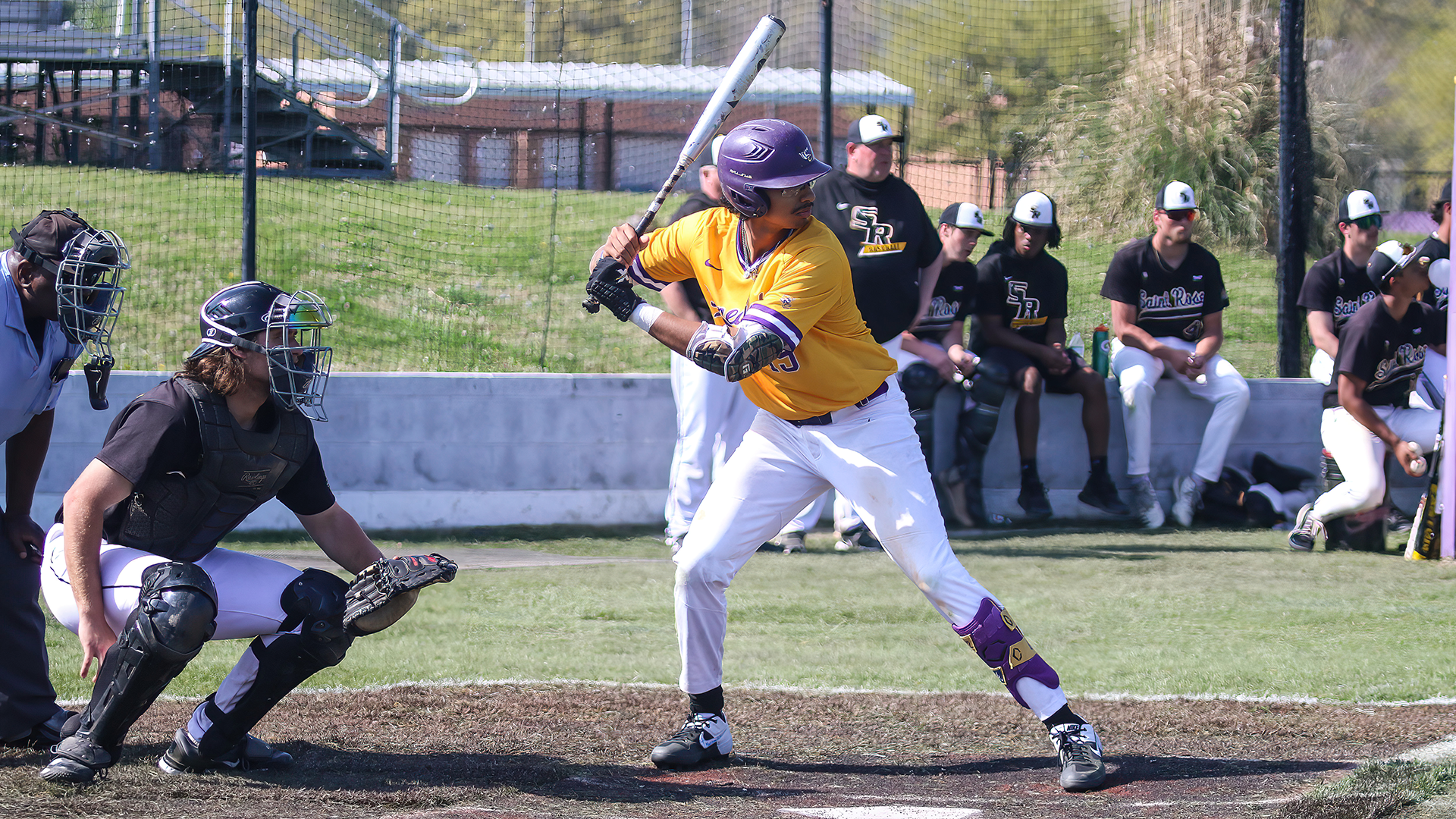 IBL's Toronto Maple Leafs sign Justin Murray